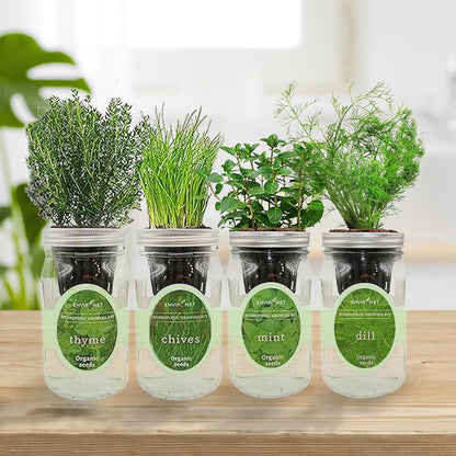Hydroponic Herb Growing Kit Set, Self-Watering Mason Jar Herb Garden Starter Kit Indoor, Grow 4 Kinds of Herbs from Seeds (Mint,Thyme,Chives&Dill)