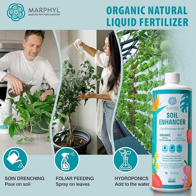 MARPHYL Plant Fertilizer Houseplants and Garden - Marine Phytoplankton Soil Improver and Hydroponic Fertilizer for Grasses, Bamboo, Succulents, & Vegetables - Organic Plant Liquid