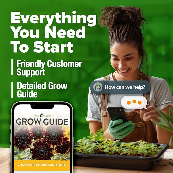 HOME GROWN Chocolate Cherry Sunflower Seeds – 75 𝗡𝗢𝗡-𝗚𝗠𝗢 𝗨𝗦𝗔 Heirloom Seeds for Planting Burgundy Sunflowers – Tall Flower for Garden, Pollinators, Butterflies (Helianthus annuus)