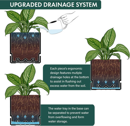 Phoenix Vine 8 Inch Planter Pot with Drainage Hole & Saucer, Deep Water Catch Tray, Straight Cylindrical Round Pot for Plants, Matte Black, Pack of 2, 23-C-T-2