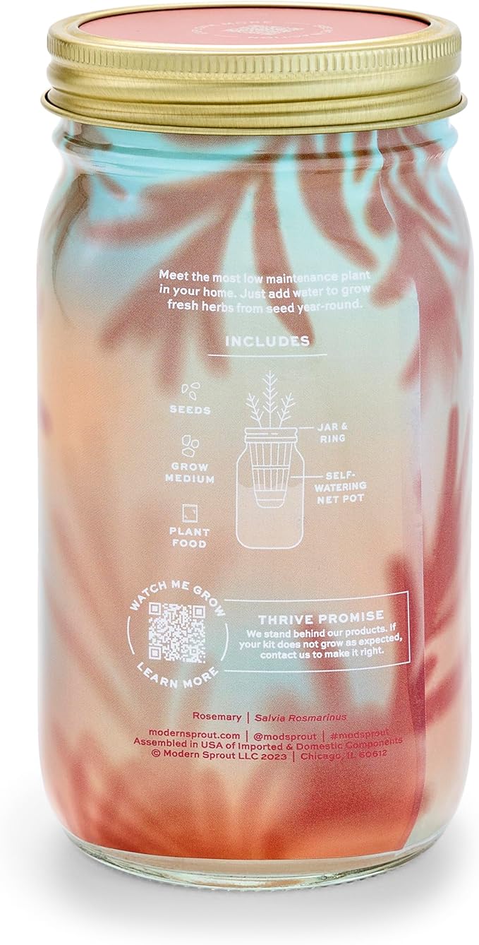 Modern Sprout Mason Garden Jar - Self-Watering Hydroponics Growing System Kit with Organic Herb Seeds - Jar Planter for Indoor Herb Garden - Seed Starter Kit - Home Decor & Gifting - Rosemary