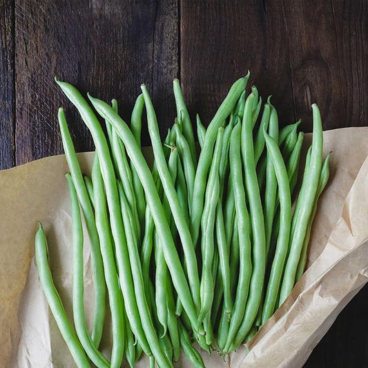 Blue Lake Bush Bean 274 Seeds - 25 Lbs Bulk - Non-GMO, Heirloom, Open Pollinated - Vegetable Garden Seeds