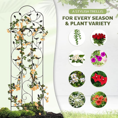 Idzo 60in 5ft 100% Metal Garden Trellises for Climbing Plants Outdoor, Heavy-Duty Steel Garden Trellis with Durable Powder Coating, Black