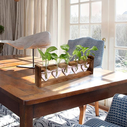 Plant Terrarium Hanging Propagation Stations Gift for Women Air Plants Holder with Wooden Stand Heart Glass