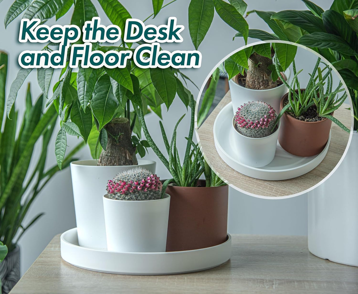 Phoenix Vine 12 Inch Plastic Plant Saucer Water Drip Tray, Heavy Sturdy Round Plant Drainage Tray for Indoors Outdoor, Set of 2, Matte White, 21-TY-12W-2