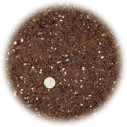 GARDENERA Premium Pothos Potting Soil Mix - Air Cleaning Plant Potting Mix, Soil Mix for Pothos, Parlor Palm, Peace Lily - (2 Quart Bag)