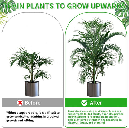 6 Pack 39.37" Detachable Twig Plant Support Stakes Set, Blends in to Plant, Branch Plant Sticks with Orchid Clips Twist Plant Ties, Twig Trellis for Indoor Outdoor Plants Potted Plants Flower