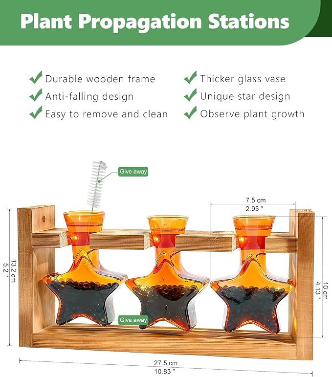 Nacome Star Glass Propagation Stations: Plant Terrarium with Wooden Stand Vase for Home Office Desk Decor, Unique Gifts for Plant Lovers Women Mom (Orange)