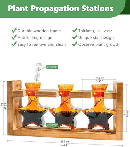 Nacome Star Glass Propagation Stations: Plant Terrarium with Wooden Stand Vase for Home Office Desk Decor, Unique Gifts for Plant Lovers Women Mom (Orange)