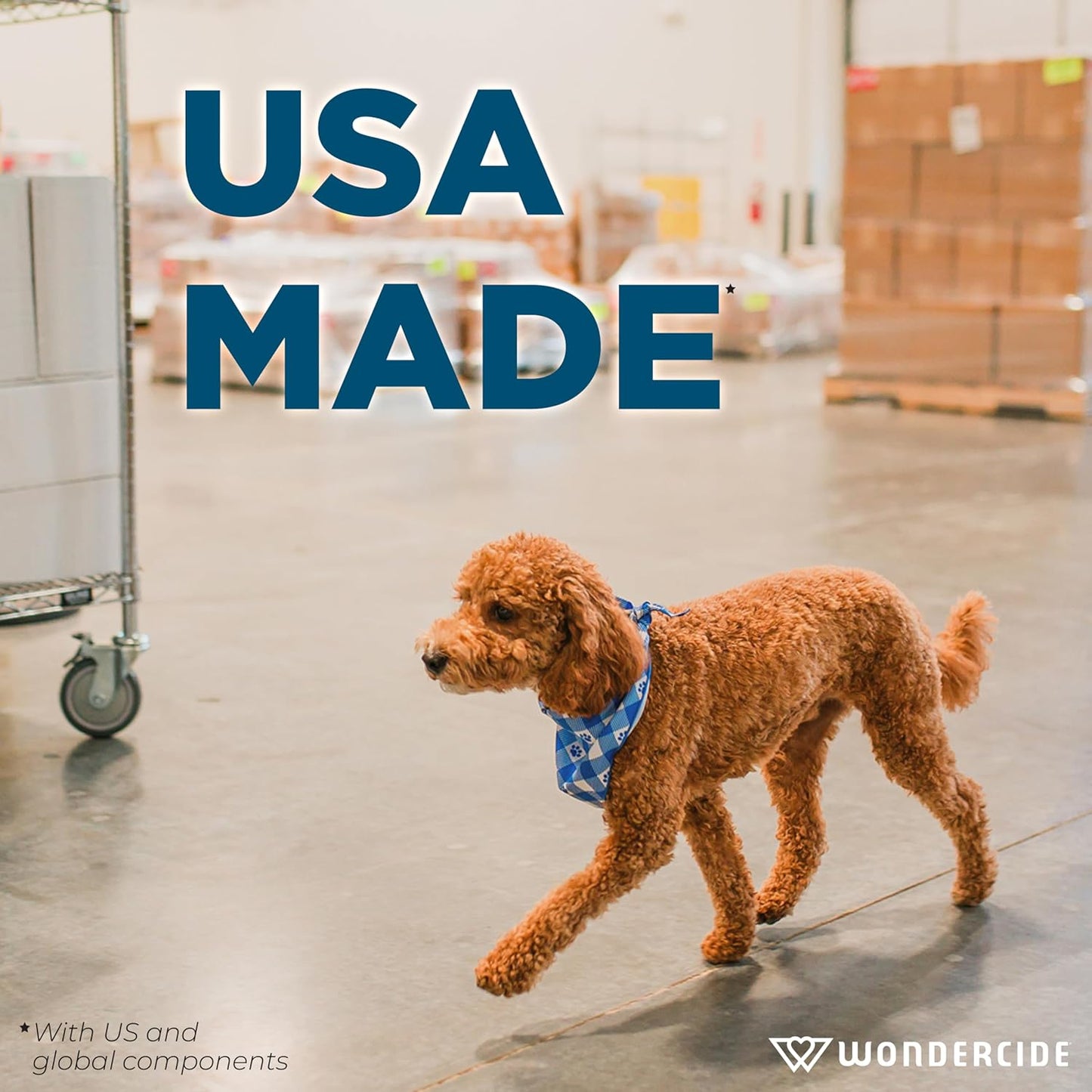 Wondercide - Mosquito, Tick, and Insect Repellent with Natural Essential Oils - DEET-Free Bug Spray and Killer - Safe for Family - Lemongrass 2-Pack of 4 oz Bottle