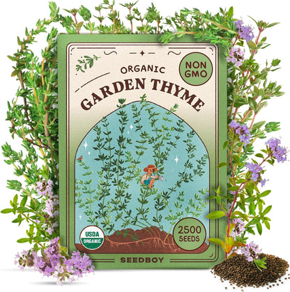 Seedboy Organic Thyme Seeds for Planting Indoor and Outdoor, Non-GMO and USDA Certified Herb Seed Packet for Hydroponic Garden Indoor or Planting Outdoors (Thyme)