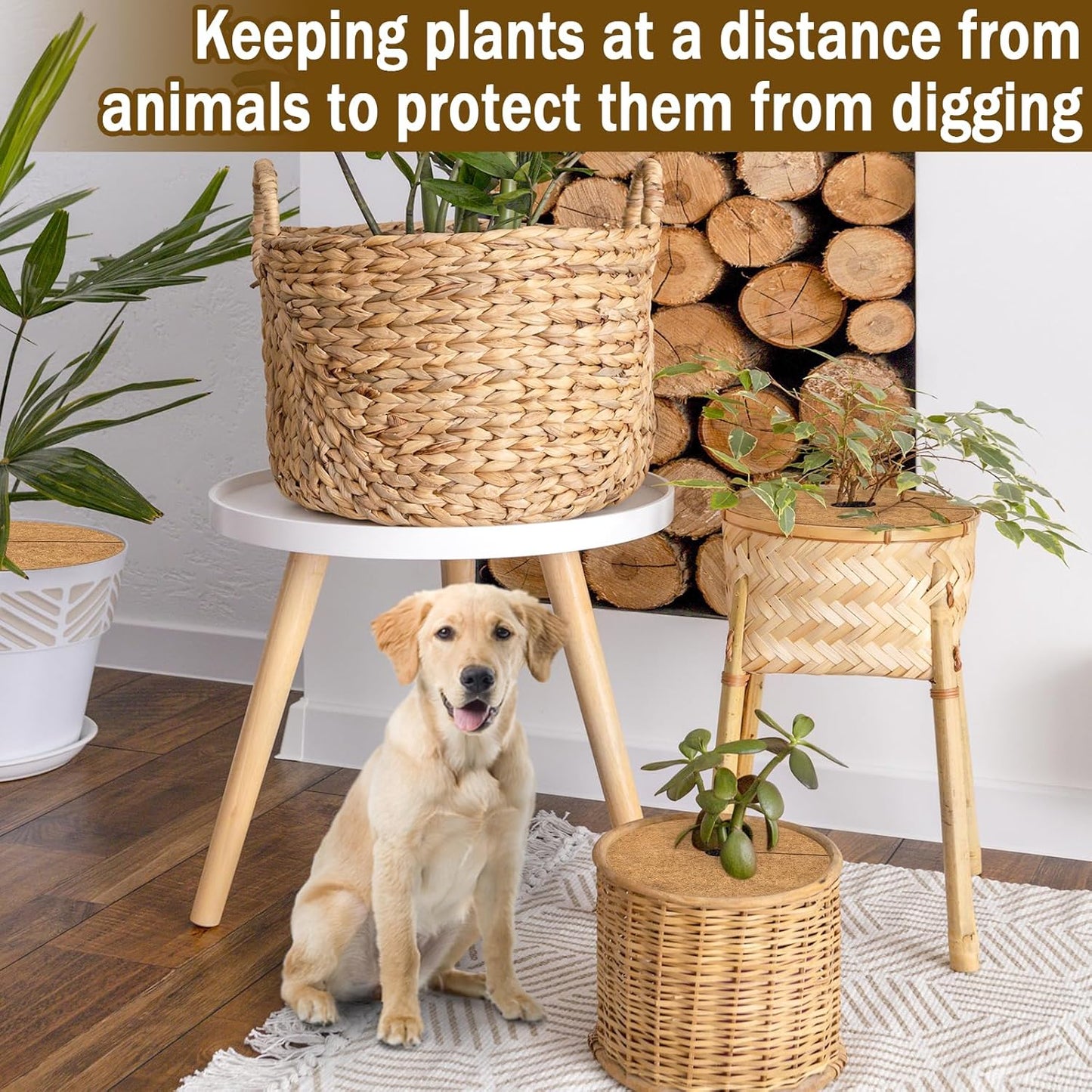 ZeeDix 20 Pack 12 Inch Coconut Fiber Mulch Ring, 100% Natural Coco Coir Tree Ring Mulch Mat Plant Protector Mat, Coconut Coir Discs Plant Pot Soil Cover for Indoor Outdoor Plants, Garden Decoration