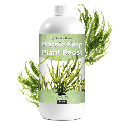 Nordic Kelp Boost Liquid - Perfect Plants (1 Quart)