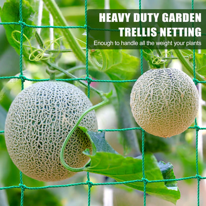 Trellis Netting, Garden Trellis Netting for Climbing Plants, 16.5x6.6Ft Plant Netting for Cucumber, Tomato, 27 Strands Nylon & 4x4 Inch Mesh, Grow Net for Vines, Fruits, Vegetables, Grapes, Beans,Peas