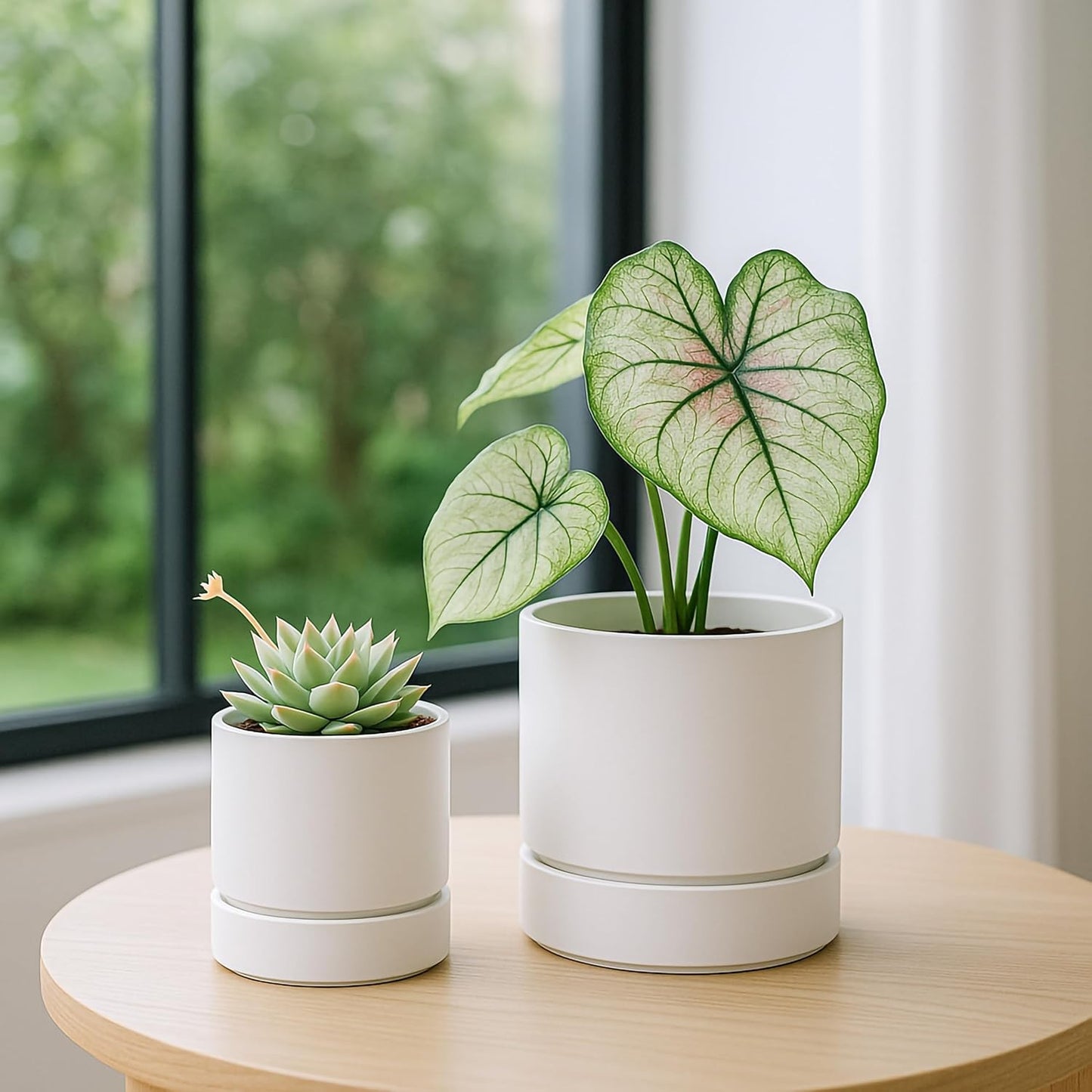 Phoenix Vine 4 Inch and 6 Inch Planter Pot with Drainage Hole & Deep Water Catch Tray Saucer, Straight Cylindrical Round Pot for Plants, Matte White, 23-A-1-Z