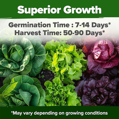 HOME GROWN 21,600+ Lettuce Seeds for Planting - 20 Heirloom Varieties, Non-GMO USA - Romaine, Butterhead, Iceberg, Leaf Lettuce, Spinach & Kale - Indoor, Outdoor & Hydroponic Garden Kit