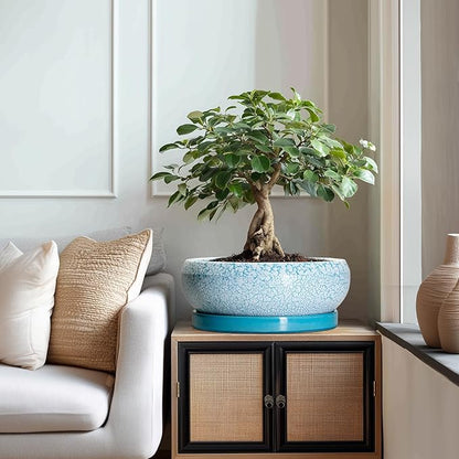 Bonsai Pots - 13 Inch Ceramic Succulent Pots with Drainage Hole and Tray, Large Succulent Planter Indoor Outdoor, Round Planter, Shallow Plant Pot, House Decor, Gifts for Plant Lover, Blue