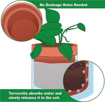 Phoenix Vine 4 Inch 6 Inch Self Watering Planter Pots, Terracotta Clay Pots with Glass Reservoir for Indoor Plants, Herbs, Flowers, 52-A-G-46