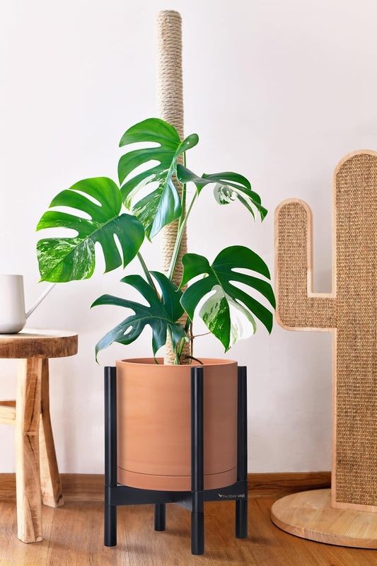 D'vine Dev Terracotta Planter with Ebony Stand - 12 Inch Modern Round Flower Pot with Wood Planter Holder, Terracotta, 55-B-H-5