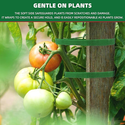 100 ft x 1/2 inch Reusable Plant Ties Roll for Indoor & Outdoor Plants, Non-Toxic Soft Garden Ties, Cut-to-Length Nylon Ties, Gentle Support for Climbing Plants, Tomato Peppers & Vines, Green