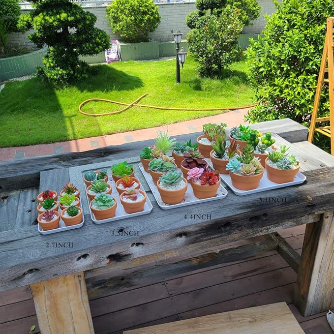 Yishang 5 Inch Shallow Terracotta Clay pots with Drain Hole,Ceramic Plant pots for Indoor/Outdoor Plants,Unglazed Bonsai Planter for Cacuts/Succulent Plants