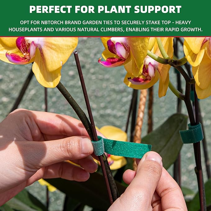 50 ft x 1/2 inch Reusable Plant Ties Roll for Indoor & Outdoor Plants, Non-Toxic Soft Garden Ties, Cut-to-Length Nylon Ties, Gentle Support for Climbing Plants, Tomato Peppers & Vines, Green