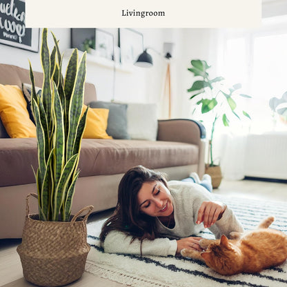 KOL 3ft Artificial Snake Plant, Fake Sansevieria Potted Floor Plants, 32 Lifelike Faux Leaves, Indoor Home Office Room Decoration, Mother-in-Law Tongue, 35in, Yellow