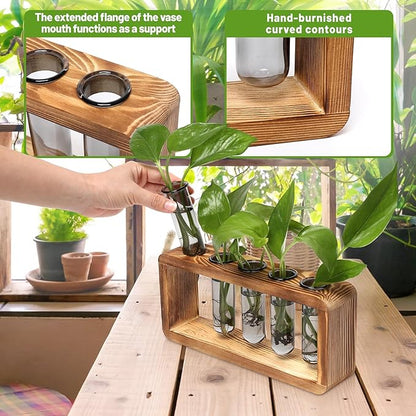 Glass Plant Propagation Station with 5 Test Tubes Colorful Planter Vase Birthday Gifts for Women in Wooden Stand