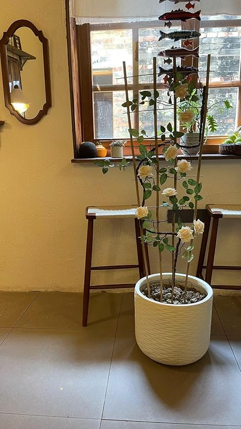 Natural Bamboo Trellis, 3Feet,3Pack,Fan-Shaped Plant Support Trellis for Outdoor and Indoor Potted Climbing Plants,Vegetables, Cucumber, Tomato, Hoya, Wisteria,Ivy,Orchid, Jasmine Monstera, Vine,