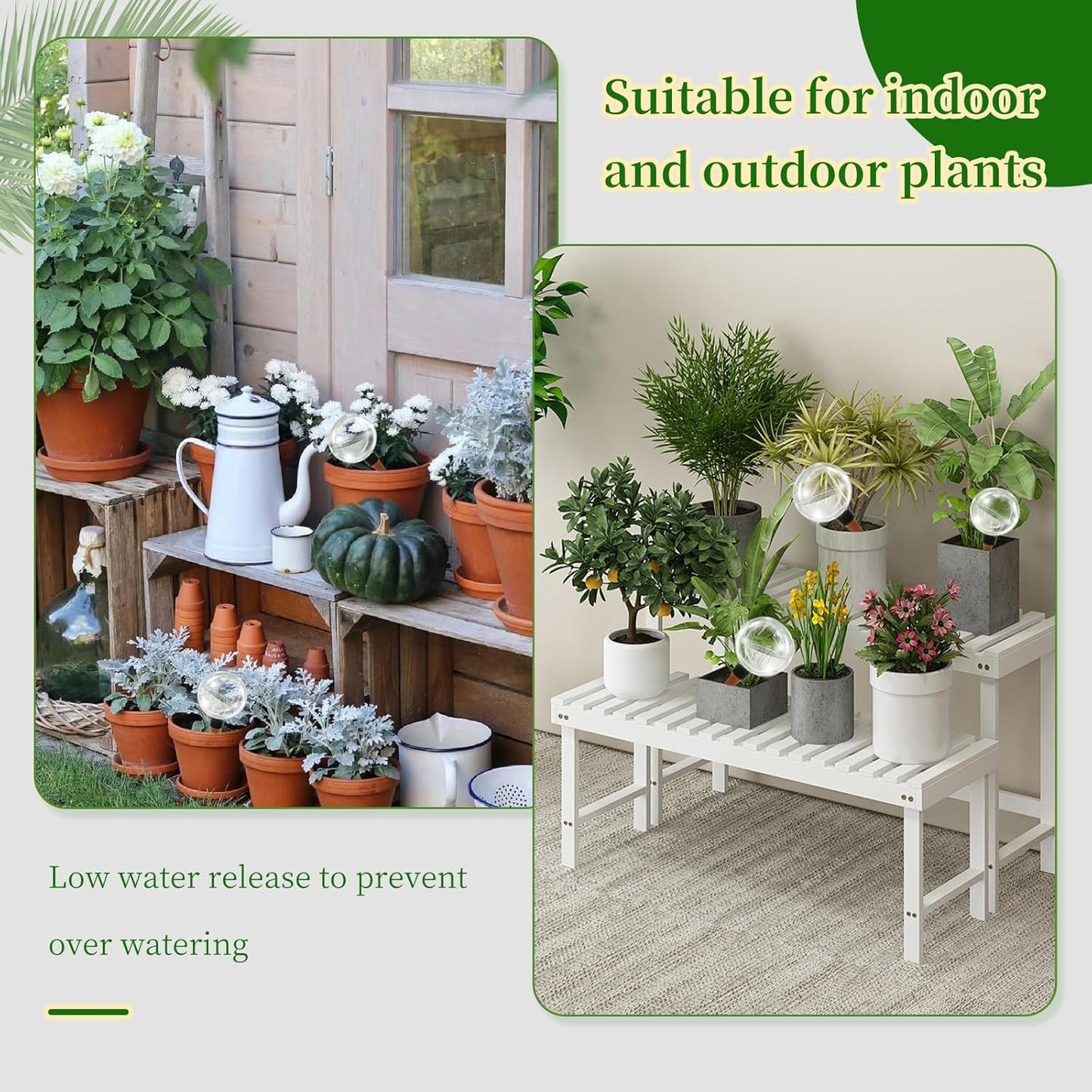 6 Pcs Self Watering Globes for Indoor Plants Automatic Watering Planter Insert 17.5 oz Watering Bulbs with Slow Release Control Water Dripper for Plants