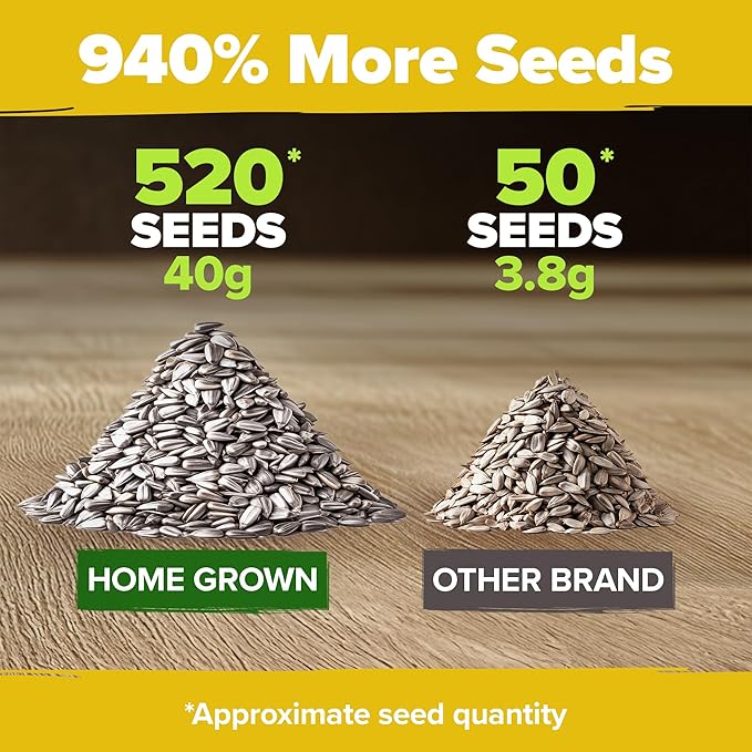 HOME GROWN 𝗨𝗦𝗔 Sunflower Seeds to Plant | 520+ Giant Mammoth Sunflower Seeds for Planting Bulk Packet | Heirloom, High Germination, Easy to Grow Jumbo Sun Flower for Home Garden(Helianthus annuus)