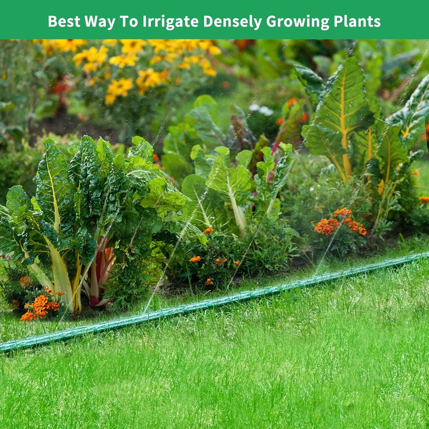 Watoo 2025 Sprinkler Hose & Soaker Hose for Yard - 150 FT Reinforced Flat Garden Hose with Holes, Heavy Duty No-Kink Lawn Irrigation Hose (Includes Stakes, High Pressure Spray)