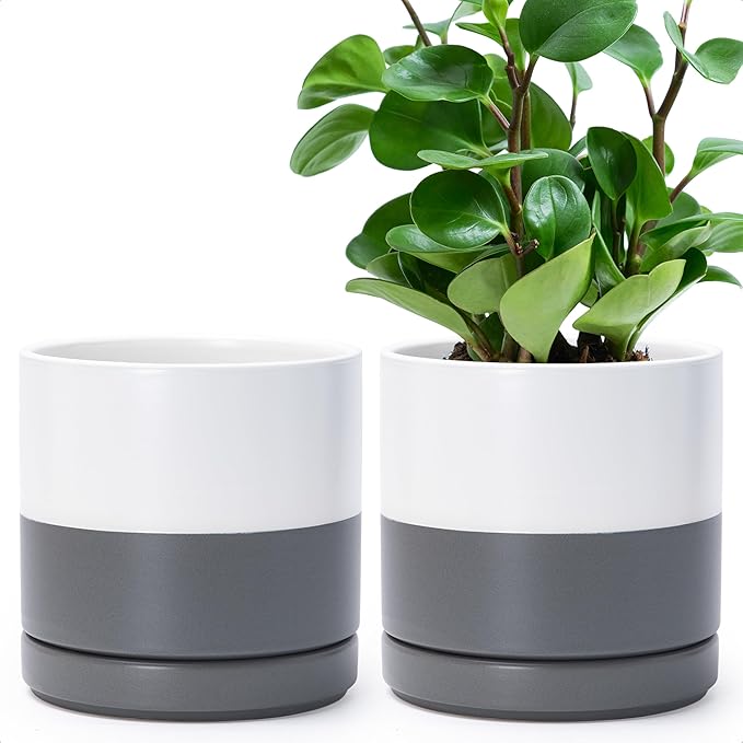 D'vine Dev Set of 2 Plants Pots, 6.5 Inch Ceramic Planter Pot for Plants with Drainage Hole and Saucer, White/Speckled Grey, 94-V-C-6