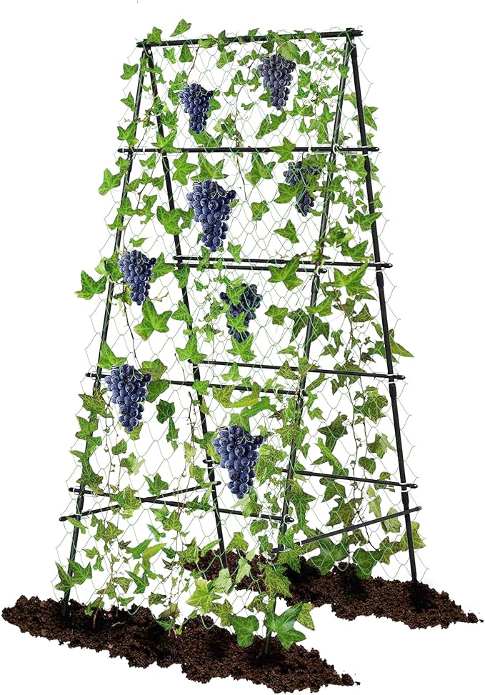 Garden Trellis for Climbing Plants, A-Shape Garden Plant Support Frame for Raised Bed Vegetables, Provides Support for Beans, Tomatoes and Cucumber, Black