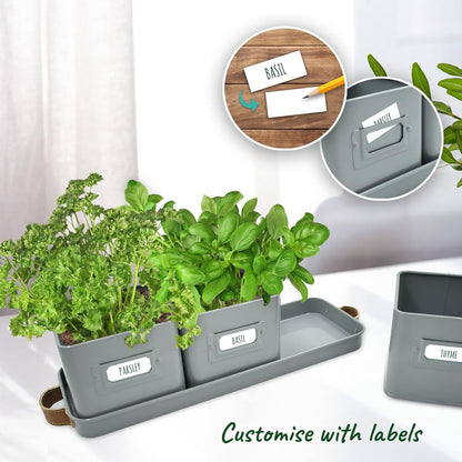 Herb Planter Indoor - Set of 3 Grey Indoor Herb Garden Pots for Plants with Leather Handled Tray - Window Sill Plant Shelf - Herb Pots with Drainage Holes and Labels