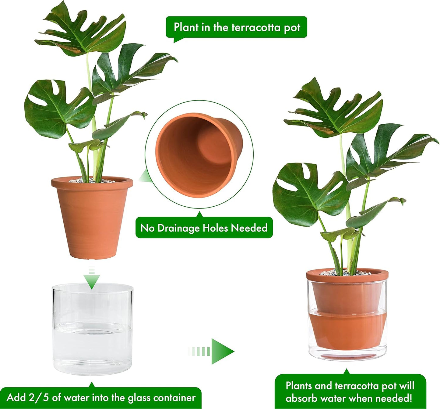 D'vine Dev 6 Inch Design Self Watering Pot for Indoor Plants, Terracotta Planter with Cylinder Glass Cup, Set of 2, 37-Y-B-1