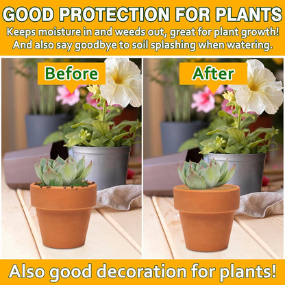 ZeeDix 10 Pack 6 Inch Coconut Fiber Mulch Ring, 100% Natural Coco Coir Tree Ring Mulch Mat Plant Protector Mat, Coconut Coir Discs Plant Pot Soil Cover for Indoor Outdoor Plants, Flower Pot Decoration