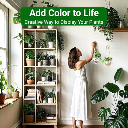 Propagation Station, Plants Terrarium, Plants Lover Gifts for Women,Plant Cutting Holder Home décor,Gifts for Women,House Warming New Home-2 Bowl Shape