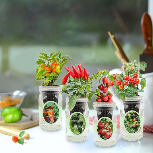 Hydroponic Herb Growing Kit Set, Self-Watering Mason Jar Herb Garden Starter Kit Indoor, Grow 4 Kinds of Herbs from Seeds (2 Tomato & 2 Pepper)