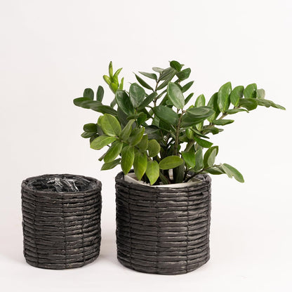 Set of 2 Water Hyacinth Planter Pot Indoor for Plant, Flower Pot, Succulent Pot, Basket Planter, Decorative Pot Cover (Black)