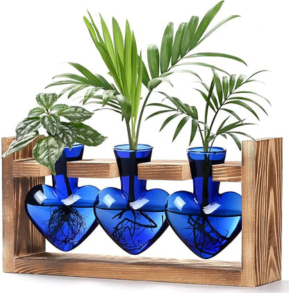 Lifecapido Heart Shaped Propagation Stations, Plant Terrarium with Wooden Stand, Plant Propagation Station for Hydroponics Plants Office Garden Home Decor, Gifts for Women Plant Lover (3 Vases, Blue)
