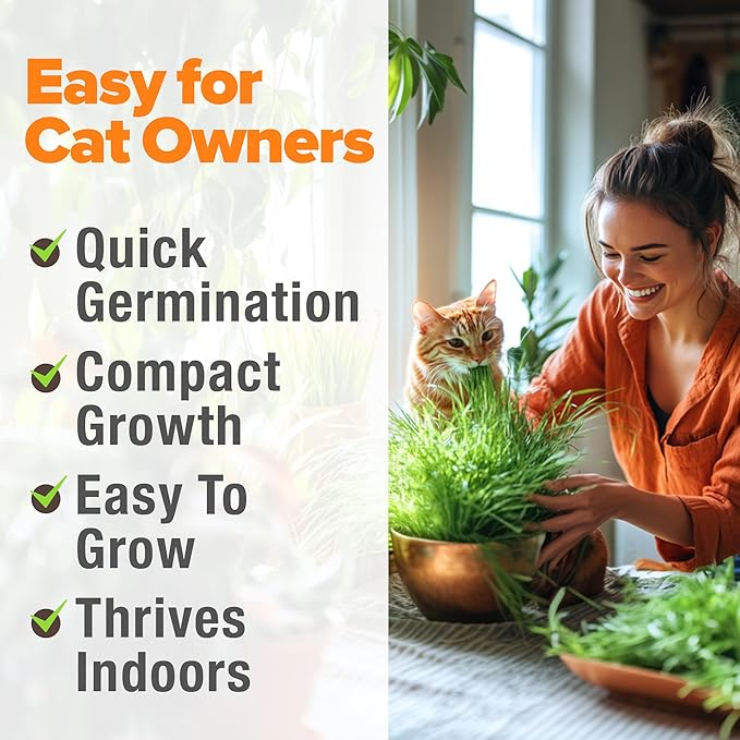 HOME GROWN 𝗨𝗦𝗔 𝗣𝗥𝗘𝗠𝗜𝗨𝗠 1 Pound Cat Grass Seeds for Cat & Kittens Oat & Barley Mix 100% 𝗡𝗢𝗡-𝗚𝗠𝗢 Heirloom, Grow Fresh Kitty Grass for Chewing, Pet Grass for Cats Indoor Garden