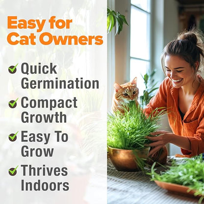 HOME GROWN 𝗨𝗦𝗔 𝗣𝗥𝗘𝗠𝗜𝗨𝗠 1 Pound Cat Grass Seeds for Cat & Kittens Oat & Barley Mix 100% 𝗡𝗢𝗡-𝗚𝗠𝗢 Heirloom, Grow Fresh Kitty Grass for Chewing, Pet Grass for Cats Indoor Garden