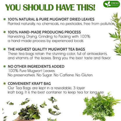 FreshDrinkUS, Premium 90 Mugwort Leaf Tea Bags, 100% Natural and Pure Mugwort Leaves. Loose Leaf Mugwort Herbal Tea. Mugwort Leaf Tea. No Sugar, No Caffeine, No Gluten, Vegan. (90 Tea Bags)