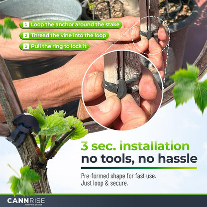 Anchor Rubber Bands for Trellising – 110 Pack of 5 cm/1.96 inches Rubber Bands for Outdoor Plant Support, Climbing Plants, Grape Vines, Trees – UV-Protected, Elastic, Multi-Purpose Use