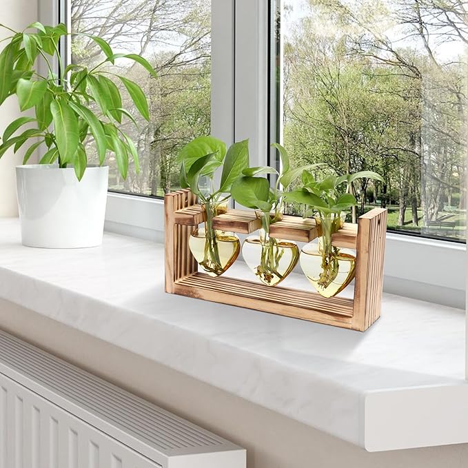 Plant Terrarium Propagation Stations Hydroponics Home Garden Decoration Gift for Women with Wooden Stand Heart Shaped Colored Glass Vase