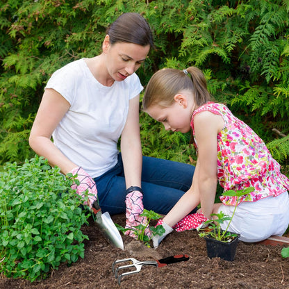 Garden Tool Set, 3 Piece Gardening Tools Includes Garden Trowel, Transplant Trowel and Hand Rake with Non-Slip Ergonomic Handle, Heavy Duty Garden Kit for Planting, Garden Gifts Red
