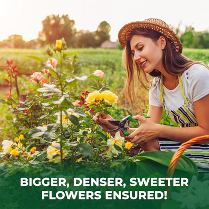 BuildASoil Vegan Bloom Booster & Flower Fertilizer – Organic Hydrangea & Rose Fertilizer Plant Food, Bloom Booster Fertilizer for Outdoor Gardens & Houseplants – Natural Soil Flower Food, 5 LB Bag