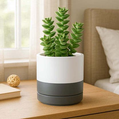 D'vine Dev 4.7 Inch & 6.5 Inch Ceramic Planter Pots for Plants with Drainage Hole and Saucer, Small Plant Pots Set, White/Speckled Grey, 94-G-S-6