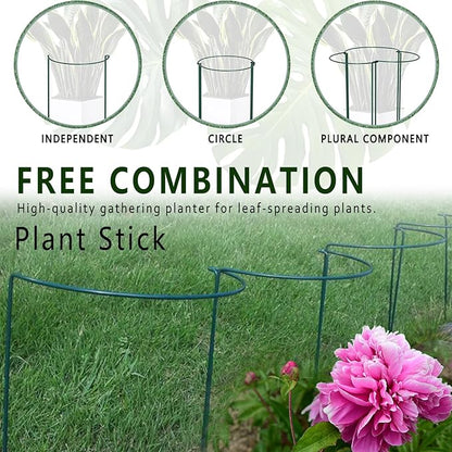 6 Pack Plant Support Stakes, Metal Monstera Plant Support Stakes for Indoor Plants, Large Garden Plant Support Ring, Tomato Cage, Tall Plant Holder Sticks (10" W X 15.8" H)